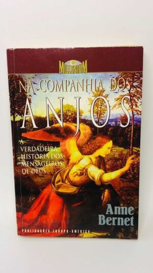 Na Companhia dos Anjos - Anne Bernet