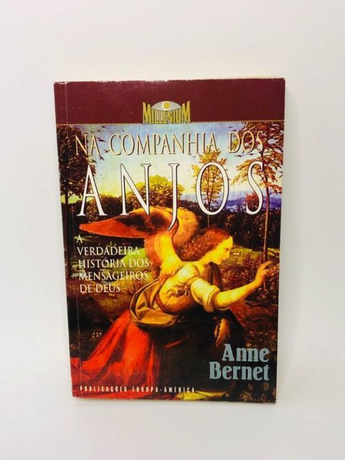 Na Companhia dos Anjos - Anne Bernet