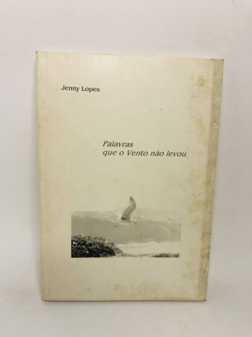 Palavras que o Vento não levou - Jenny Lopes