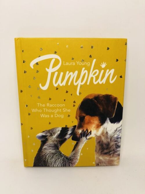 Pumpkin - Laura Young