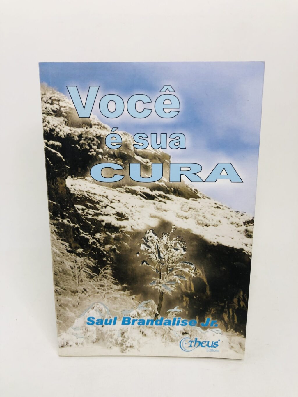 Você é sua Cura - Saul Brandalise Jr.