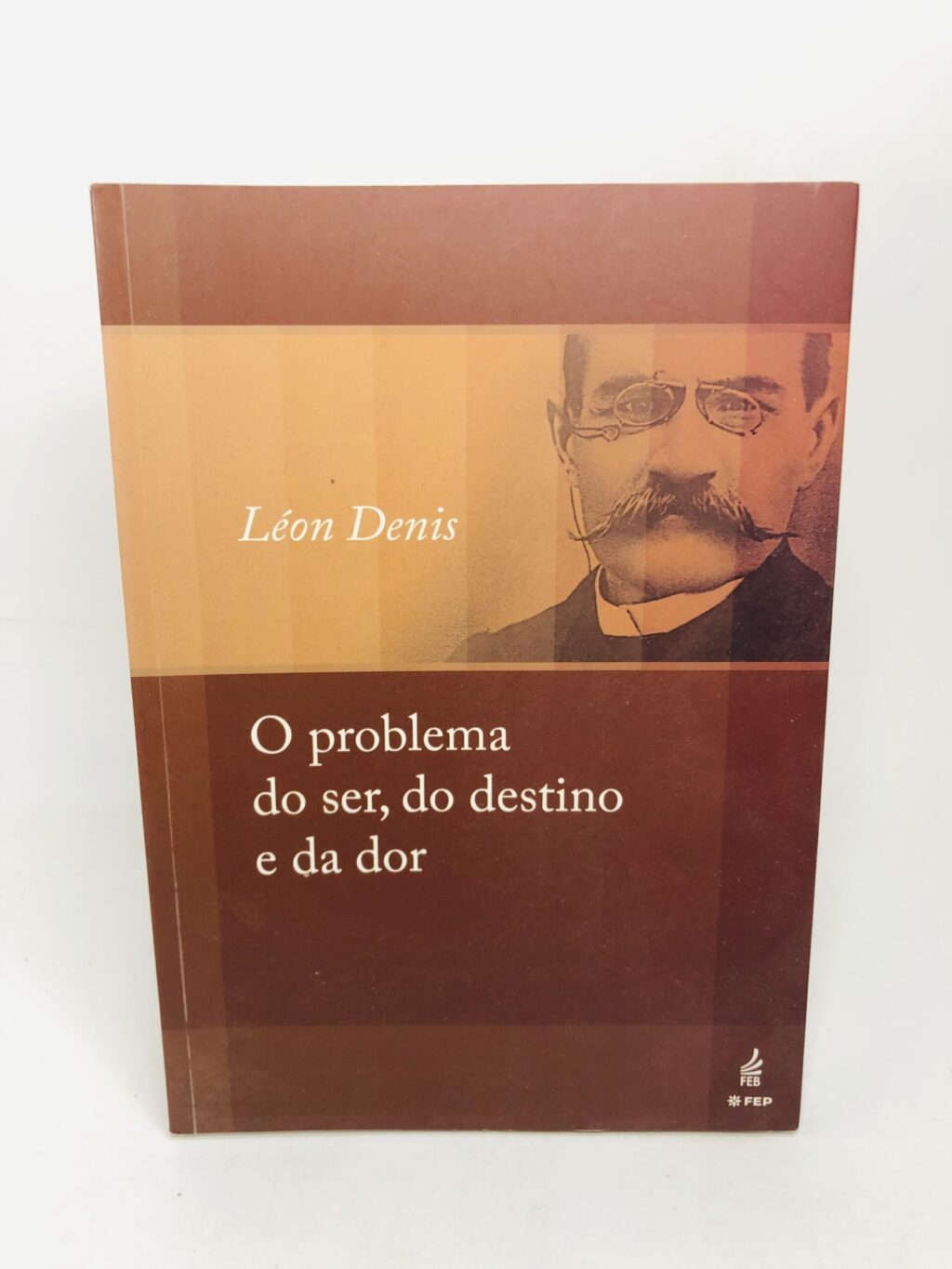 O problema do ser, do destino e da dor - Léon Denis
