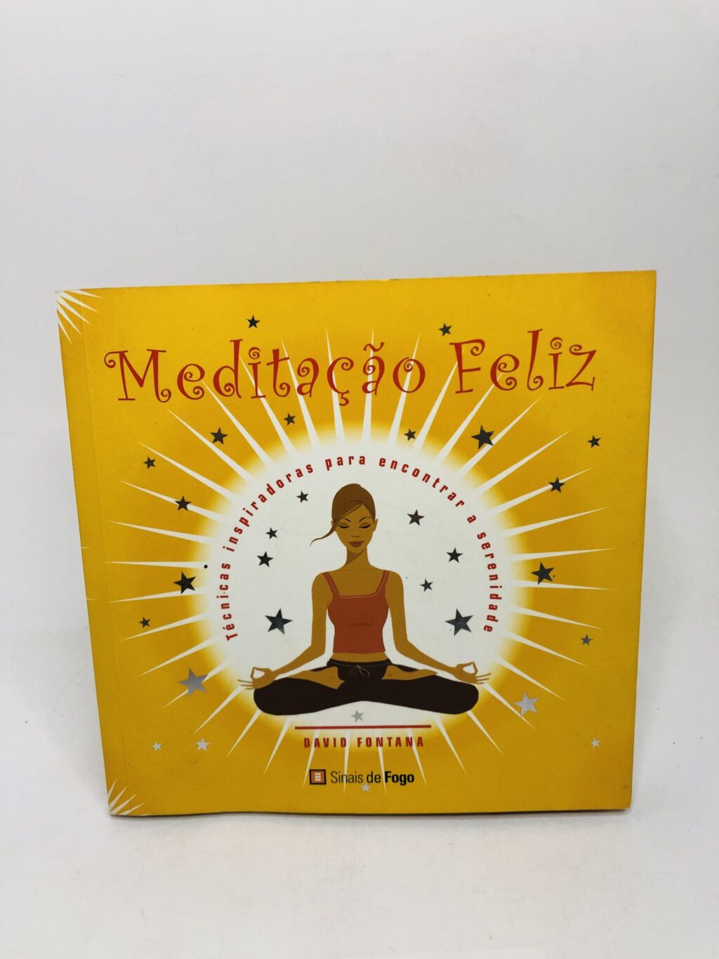 Meditação Feliz - David Fontan