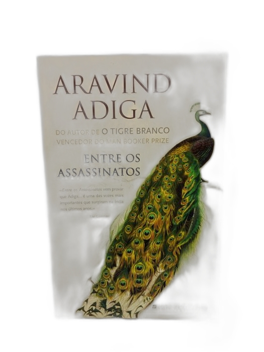 Entre os Assassinos - Aravind Adiga