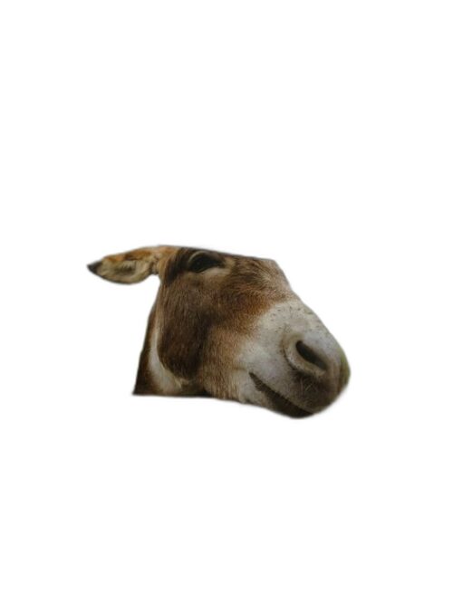 Platero e Eu - Juan Ramón Jiménez