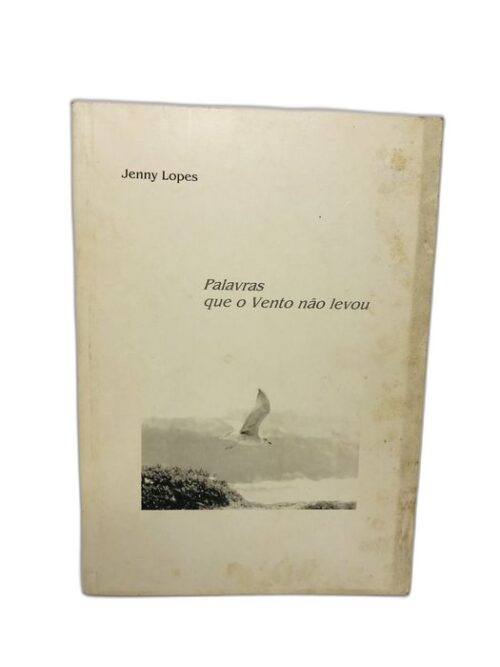 Palavras que o Vento não levou - Jenny Lopes