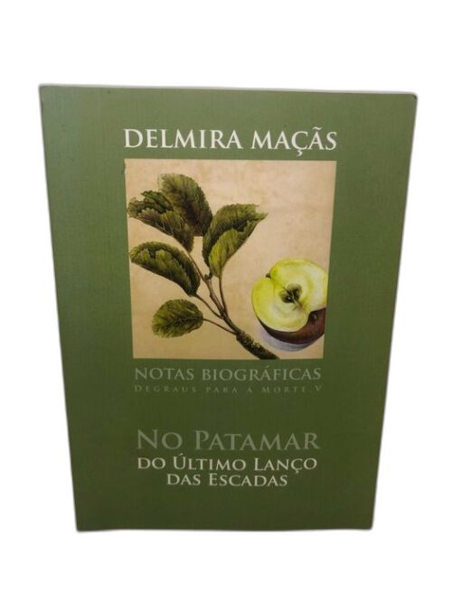 No patamar do último lanço das escadas - Delmira Maçãs