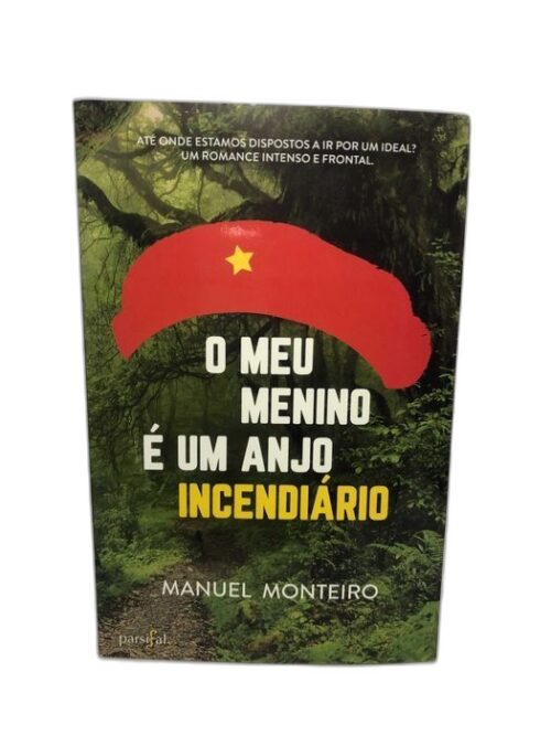 O Meu Menino é um Anjo Incendiário - Manuel Monteiro
