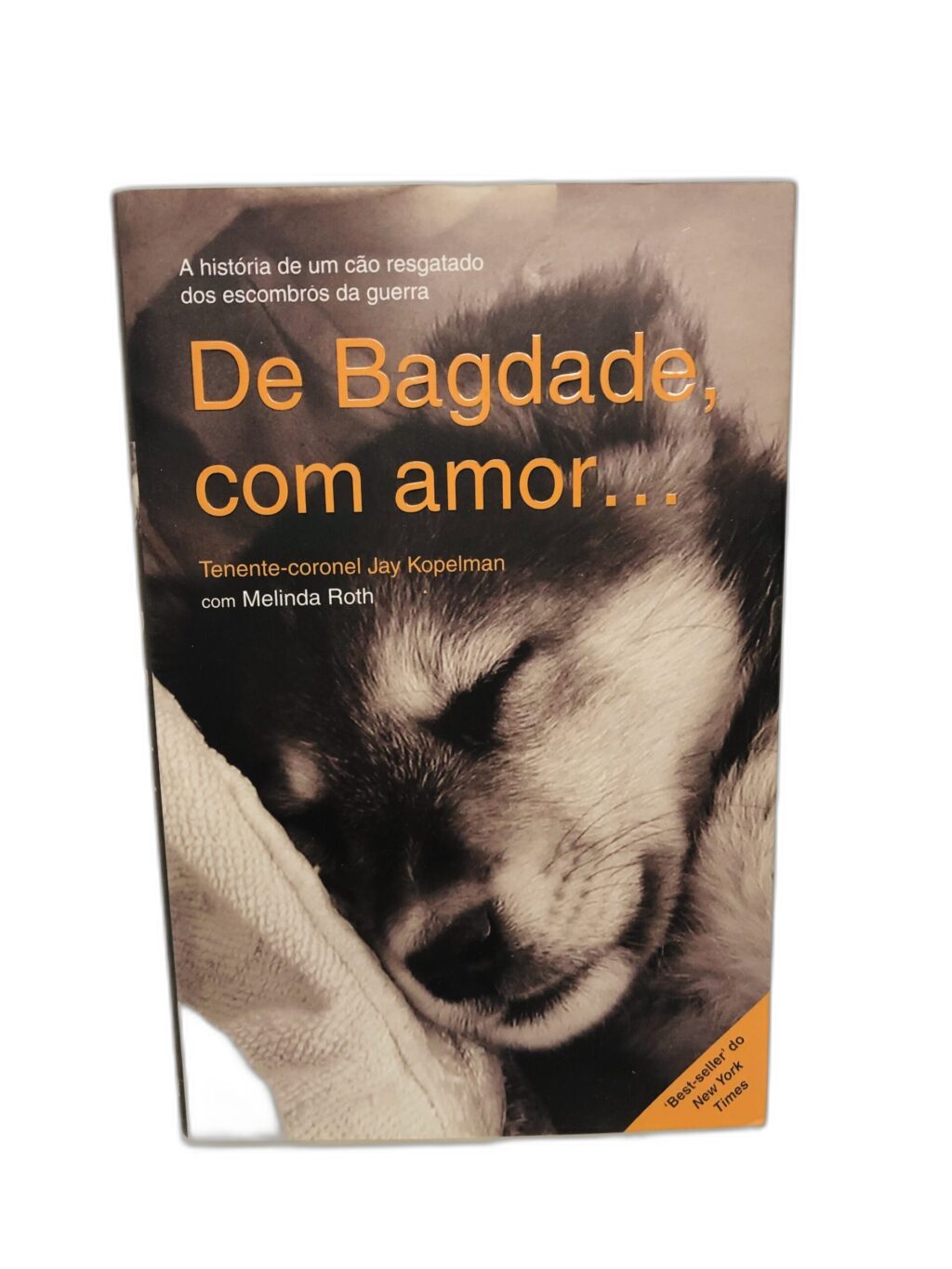 De Bagdade, com amor… - Tenente-coronel Jay Kopelman com Melinda Roth