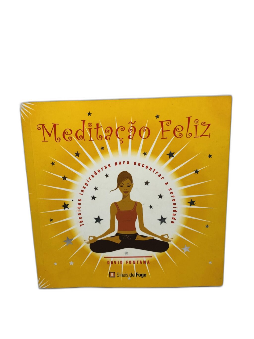 Meditação Feliz - David Fontan
