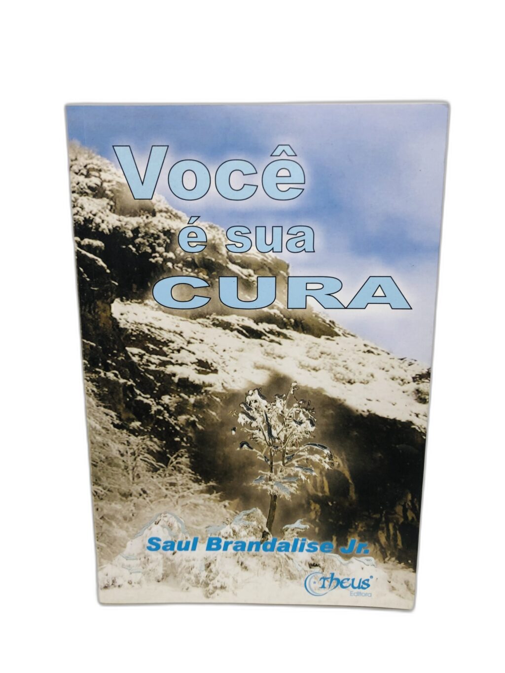 Você é sua Cura - Saul Brandalise Jr.