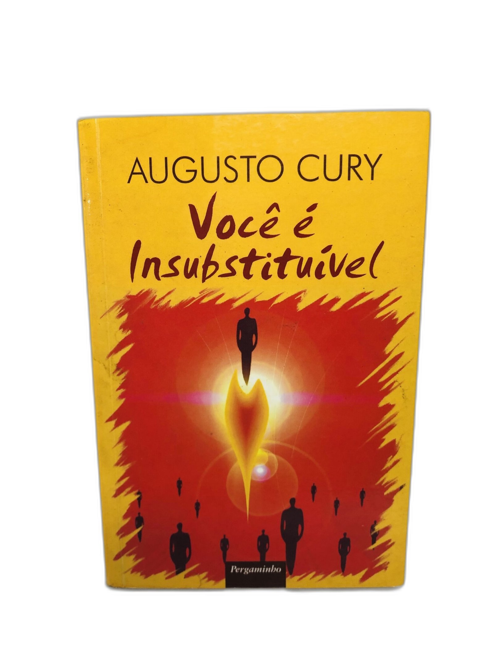 Você é Insubstituível - Augusto Cury