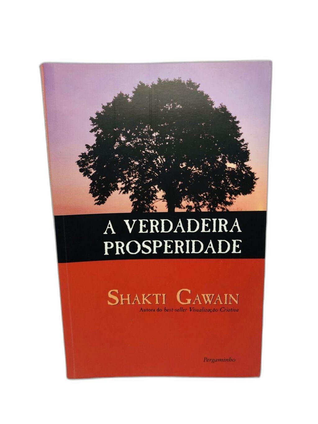 A Verdadeira Prosperidade - Shakti Gawain