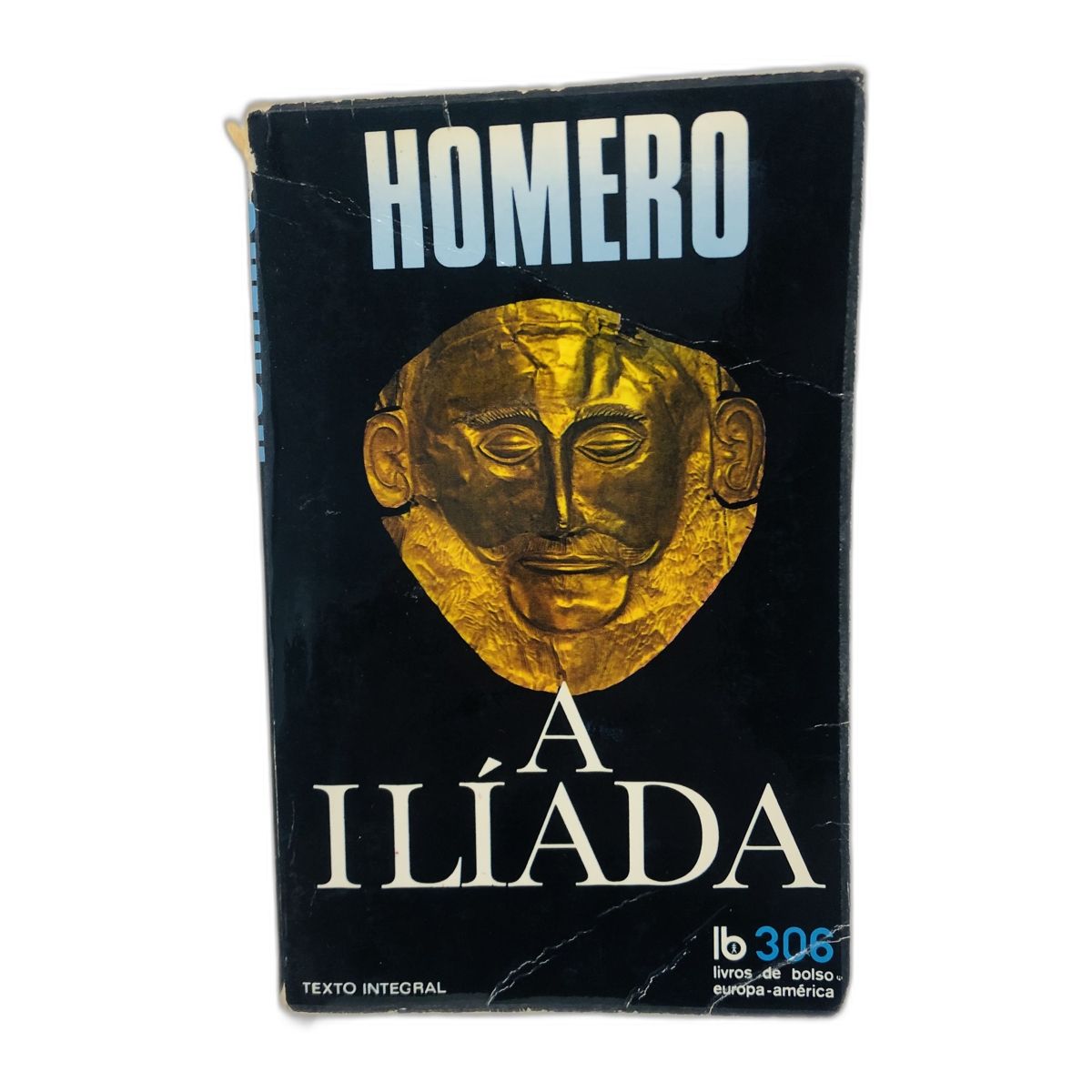 A Ilíada - Homero