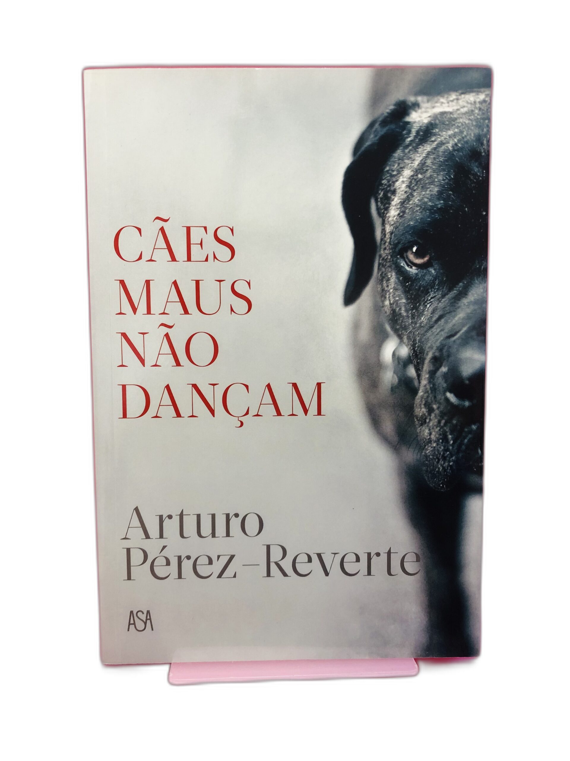 Cães Maus Não Dançam - Arturo Pérez-Reverte