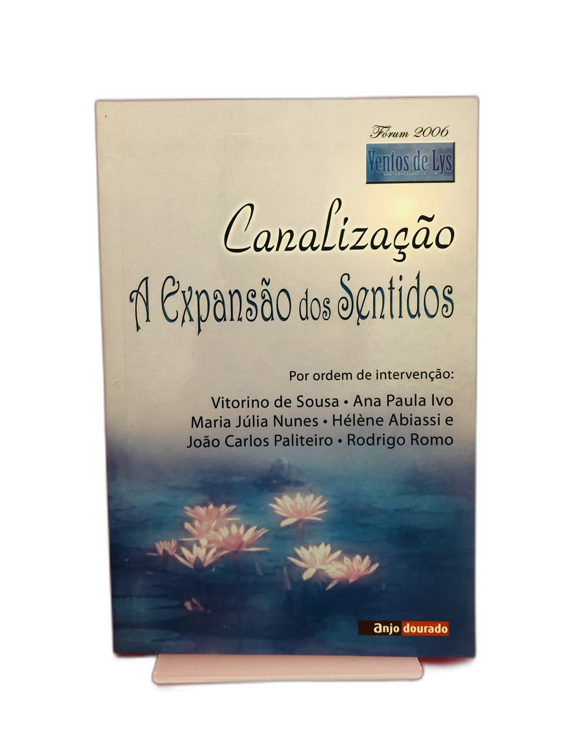 ** Canalização - ** Vitorino de Sousa, Ana Paula Ivo, Maria Júlia Nunes, Hélène Abissi, João Carlos Paliteiro, Rodrigo Romo