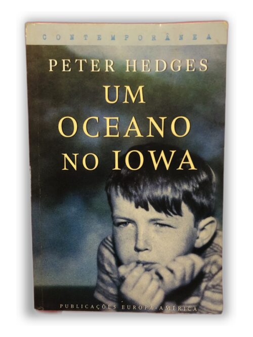Um Oceano no Iowa - Peter Hedges