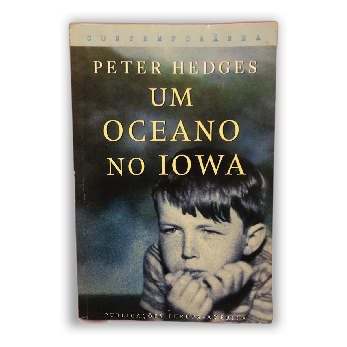 Um Oceano no Iowa - Peter Hedges
