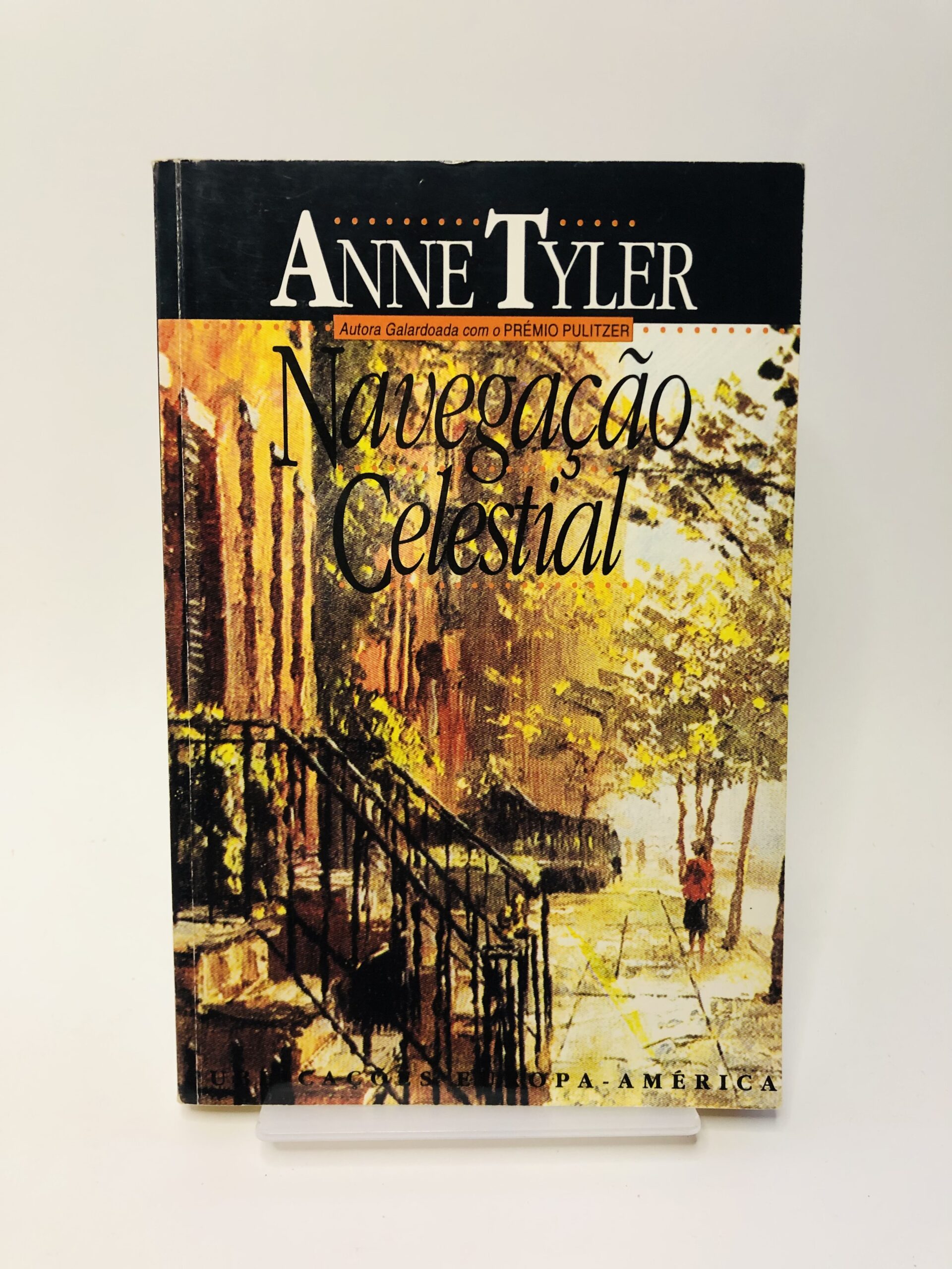Navegação Celestial - Anne Tyler