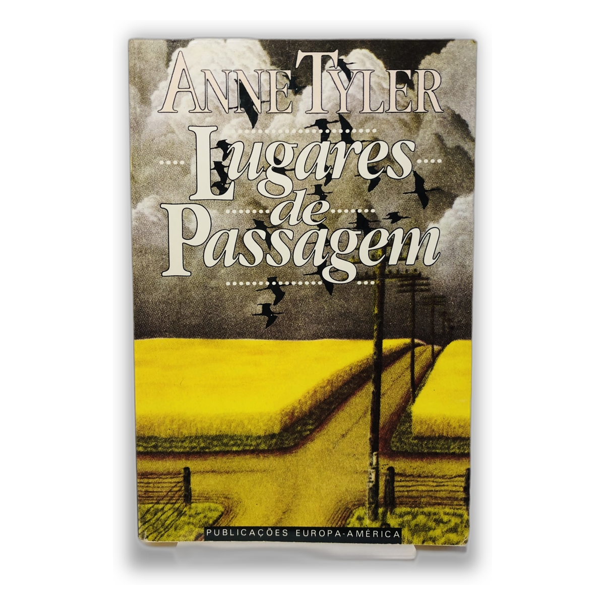 Lugares de Passagem - Anne Tyler