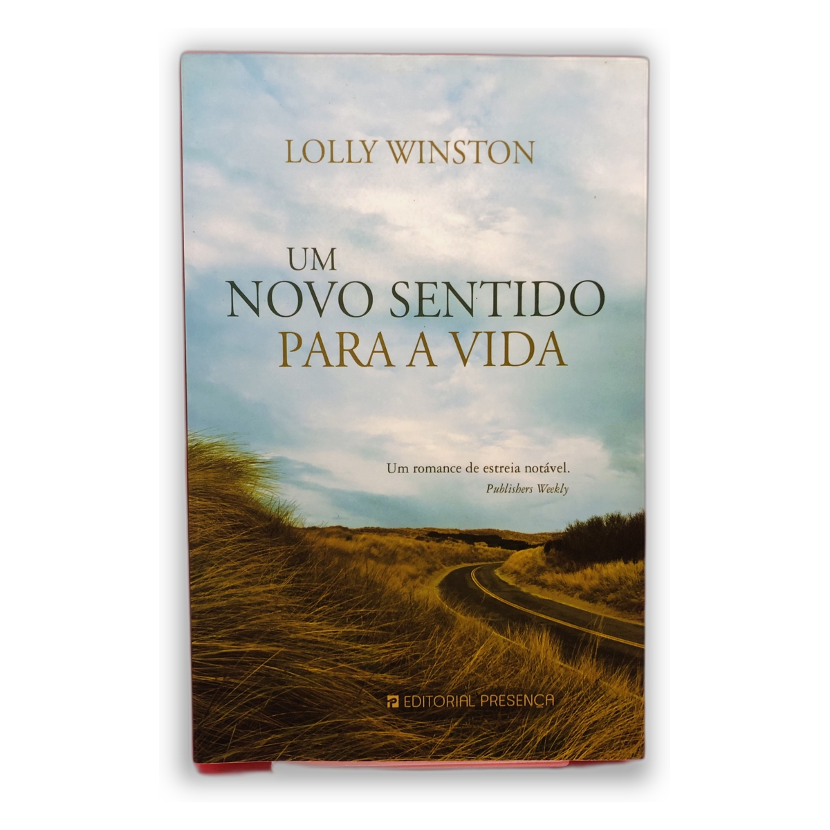 Um Novo Sentido para a Vida - Lolly Winston