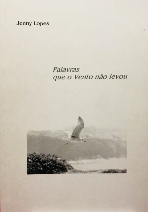 Palavras que o Vento não levou - Jenny Lopes