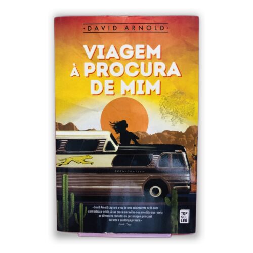 Viagem à Procura de Mim - David Arnold