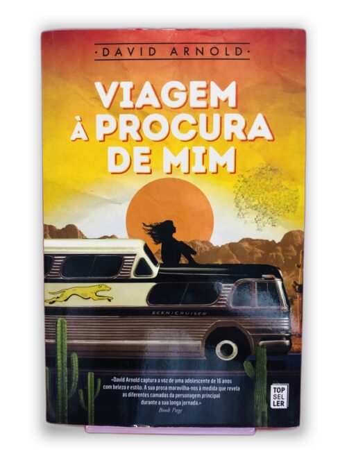 Viagem à Procura de Mim - David Arnold
