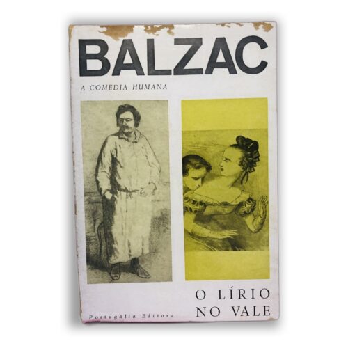 O Lírico no Vale - Balzac