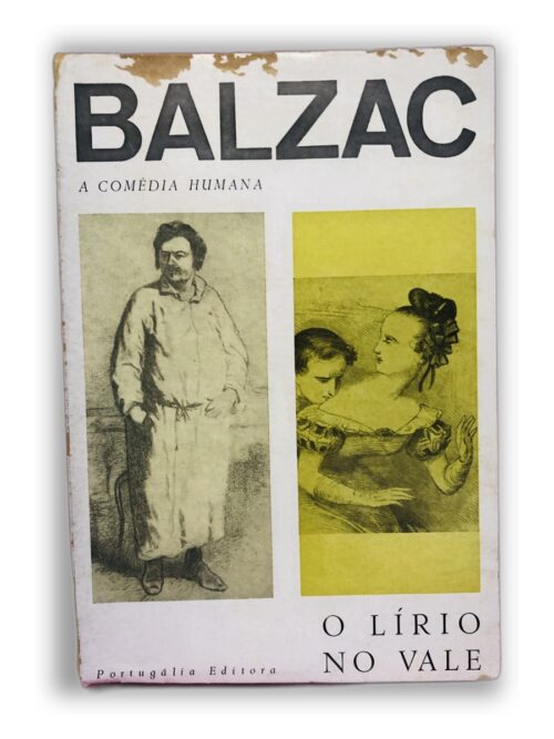 O Lírico no Vale - Balzac
