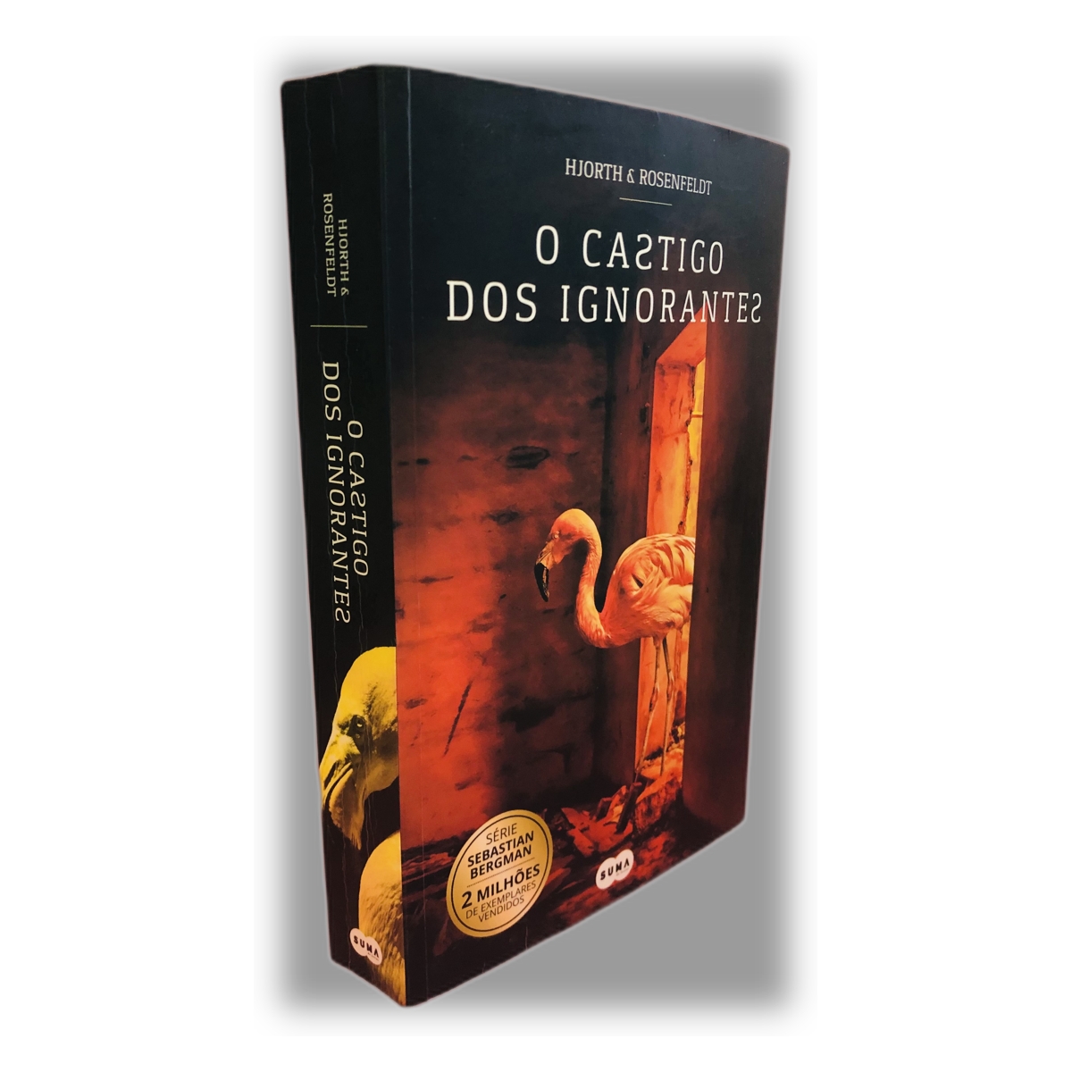 O Castigo dos Ignorantes - Hjorth & Rosenfeldt