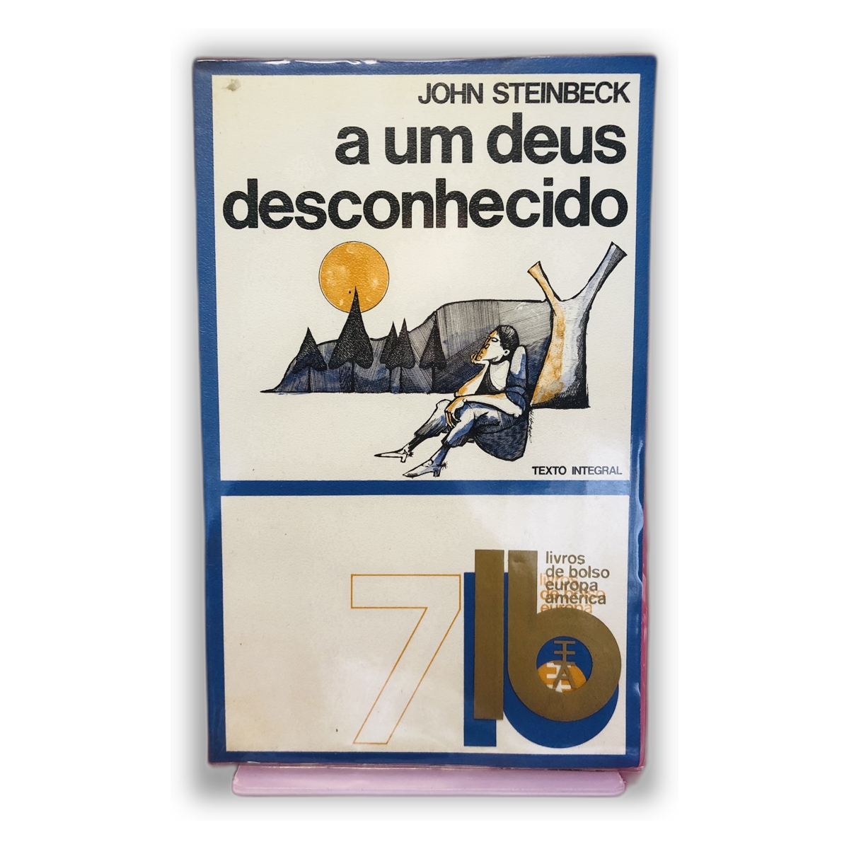 A Um Deus Desconhecido - John Steinbeck