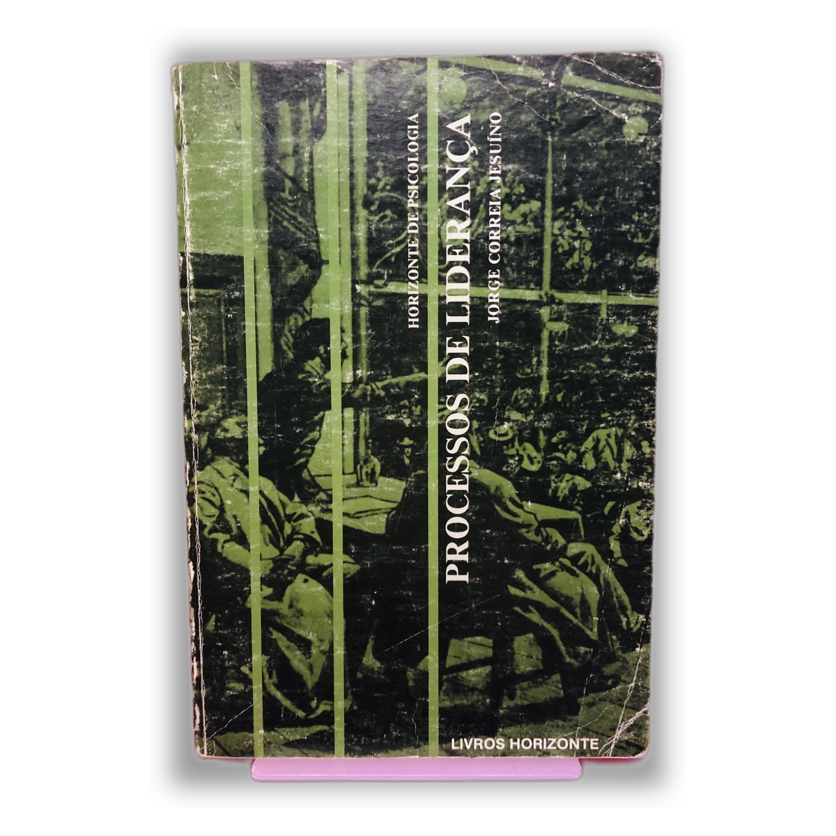 Processos de Lidança - Jorge Correa Peixinho