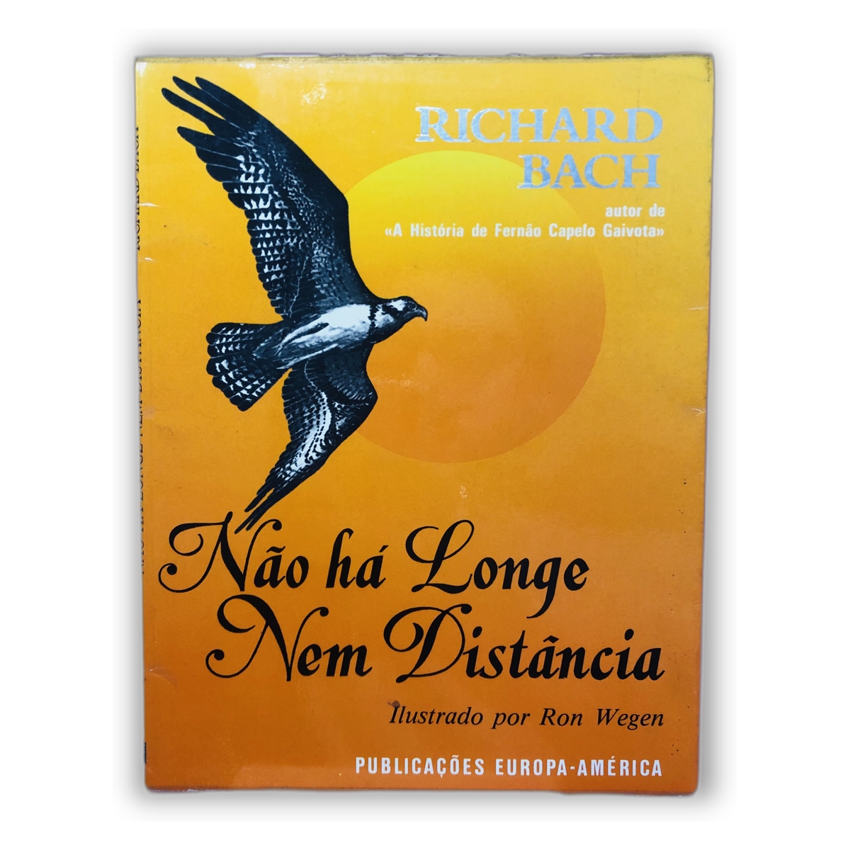 Não há Longe Nem Distância - Richard Bach