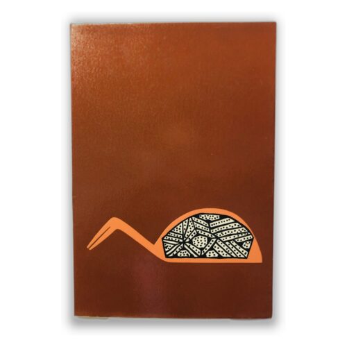 Arte do Indio Brasileiro