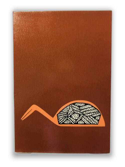 Arte do Indio Brasileiro