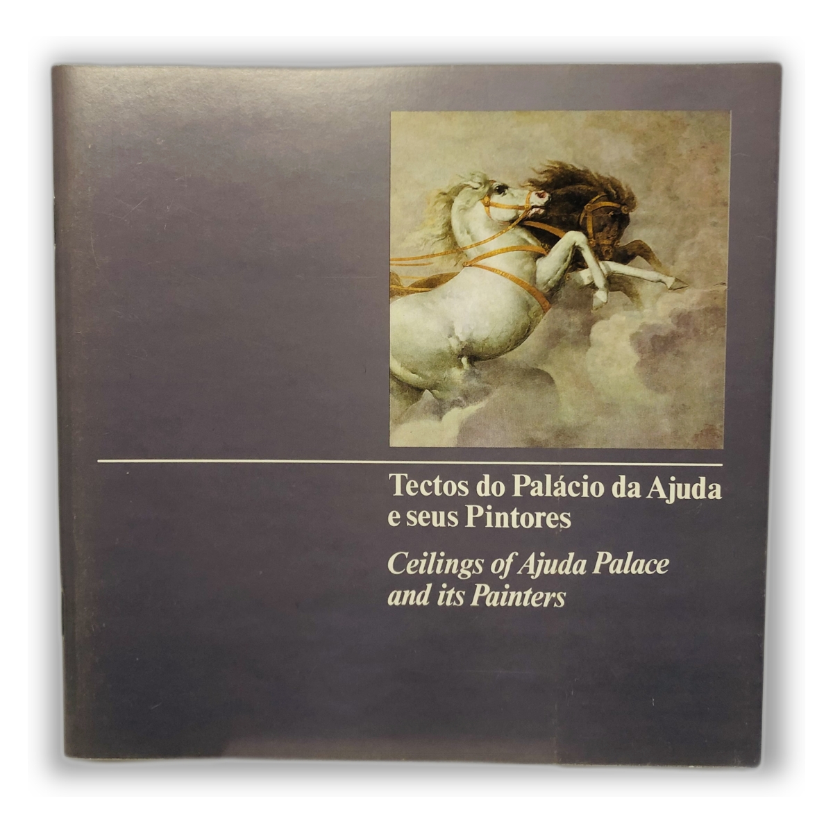 Tectos do Palácio da Ajuda e seus Pintores