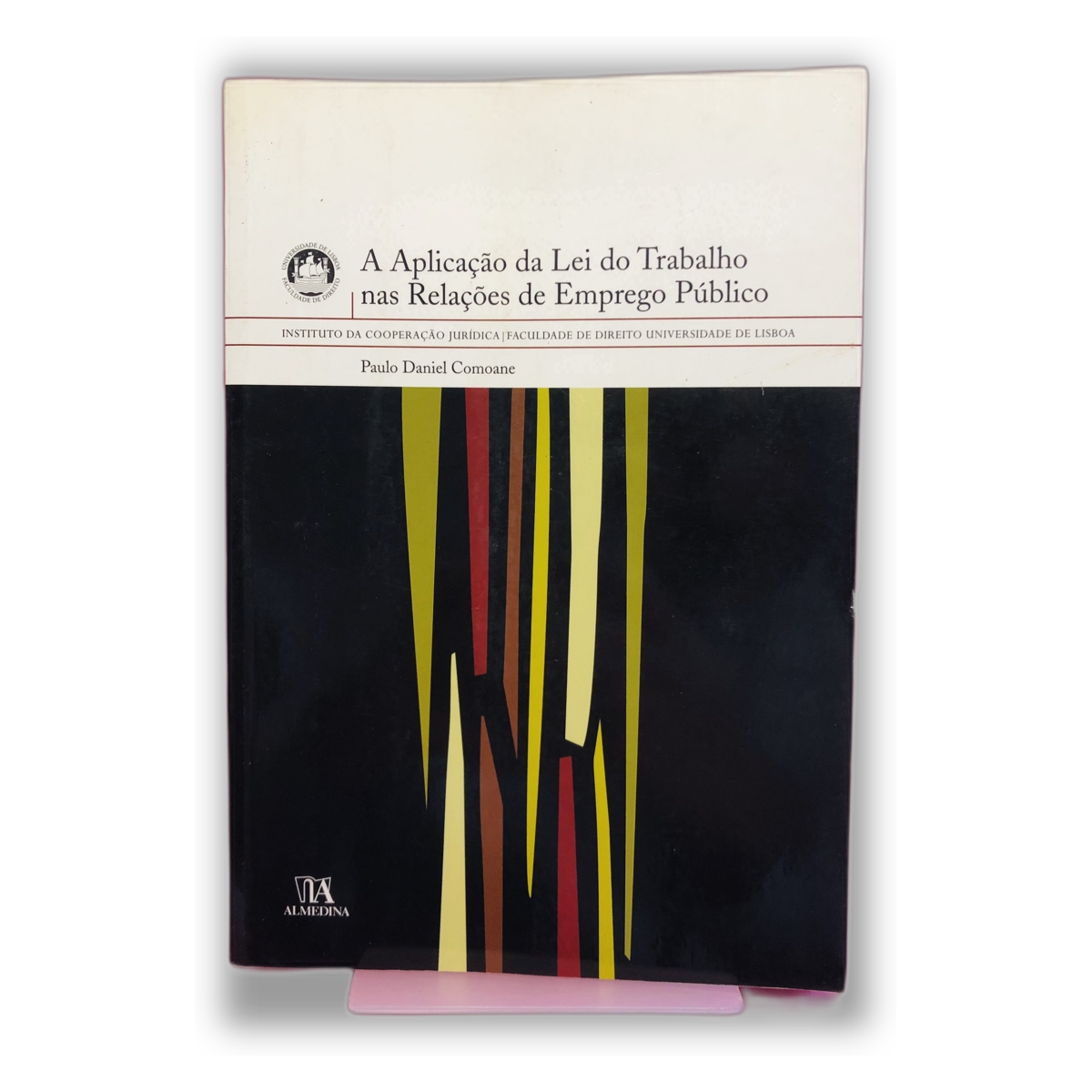 A Aplicação da Lei do Trabalho nas Relações de Emprego Público - Paulo Daniel Comarque