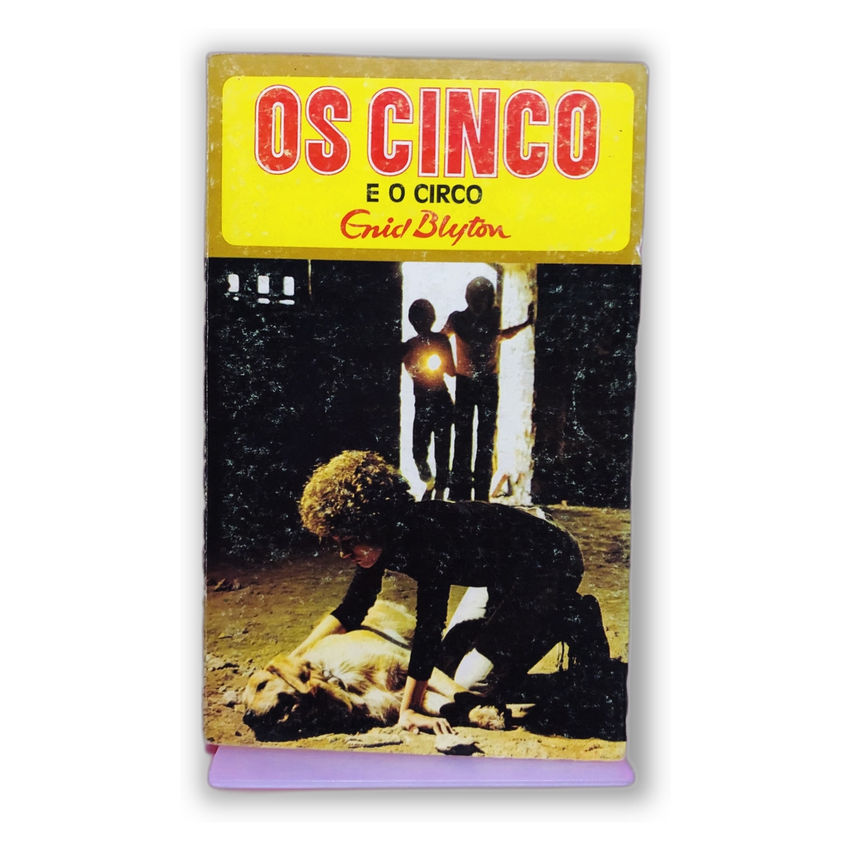 Os Cinco e o Circo - Enid Blyton