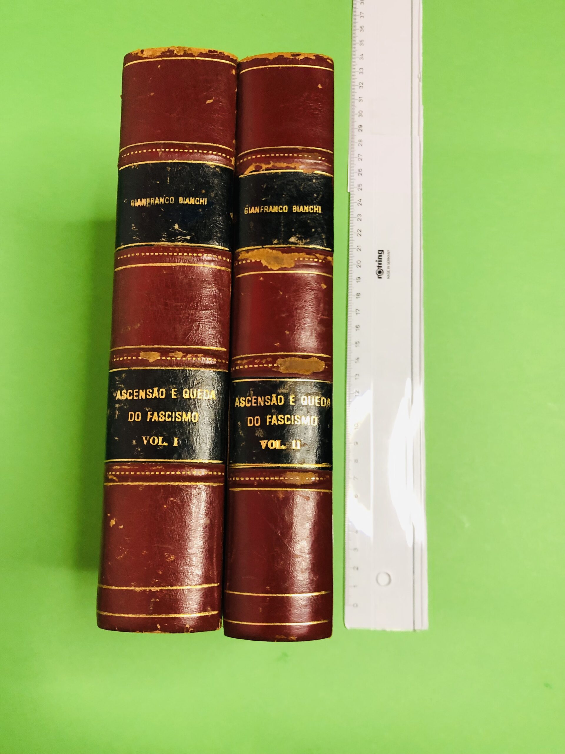 Ascensão e Queda do Fascismo - Gianfranco Bianco