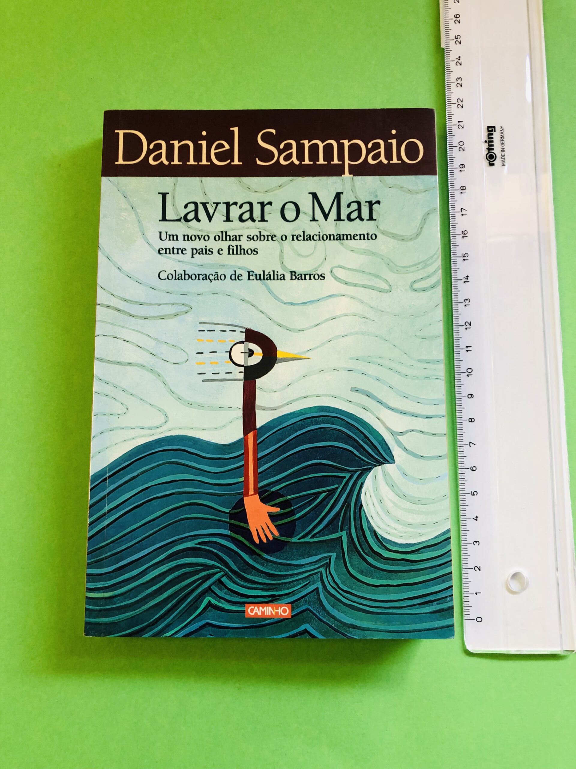 Lavrar o Mar - Daniel Sampaio
