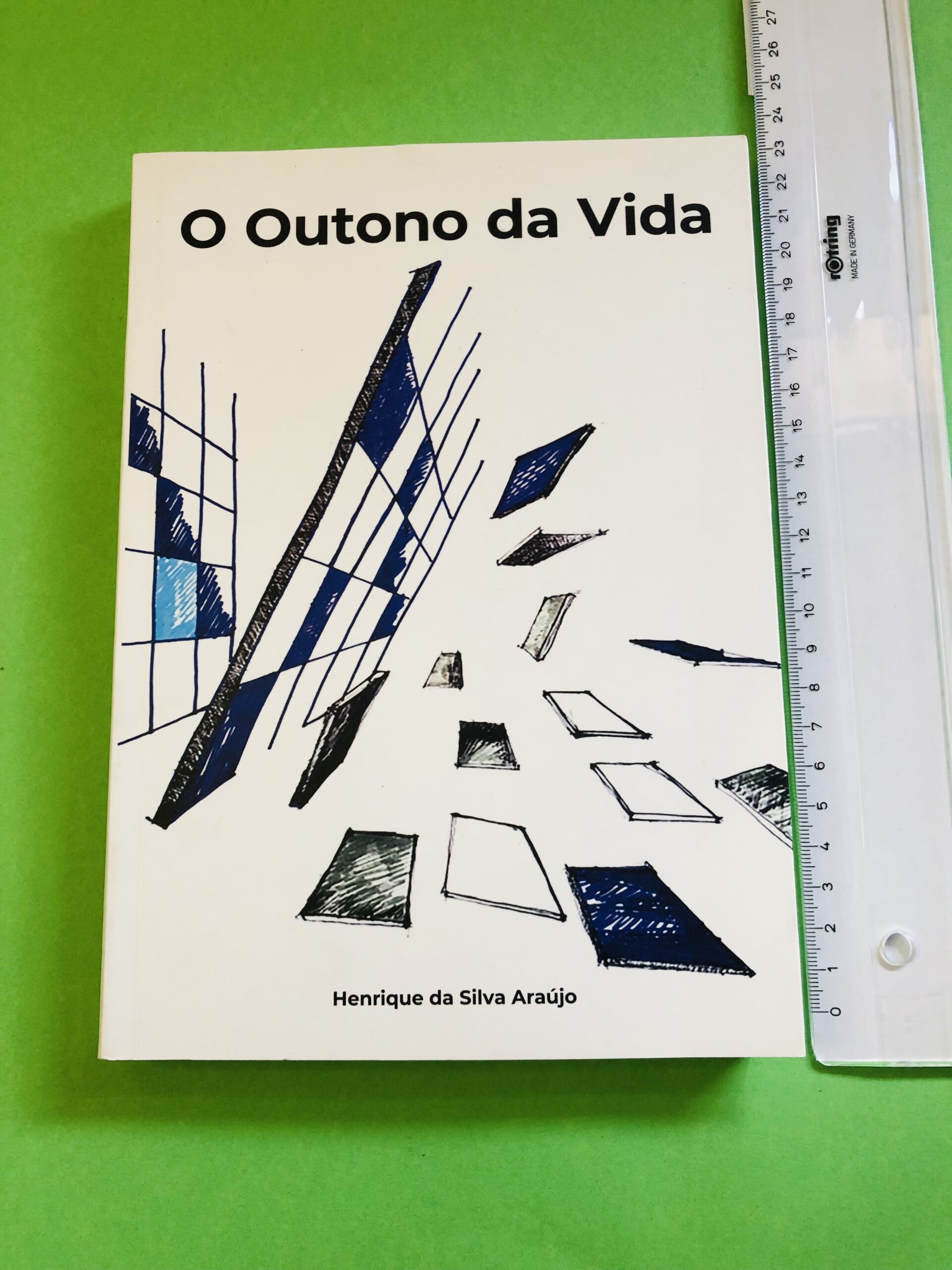 O Outono da Vida - Henrique da Silva Araújo