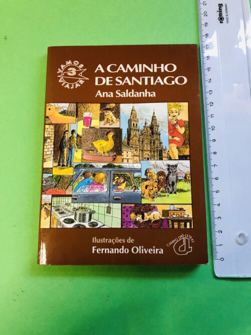 A Caminho de Santiago - Ana Saldanha