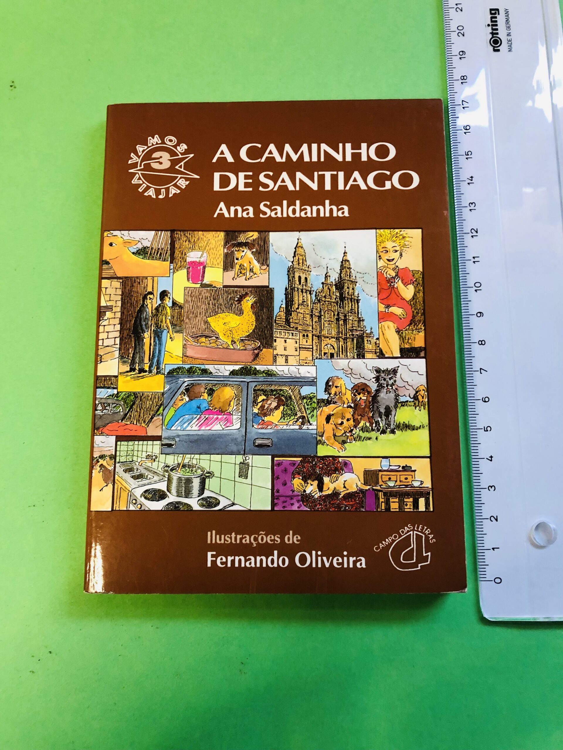 A Caminho de Santiago - Ana Saldanha