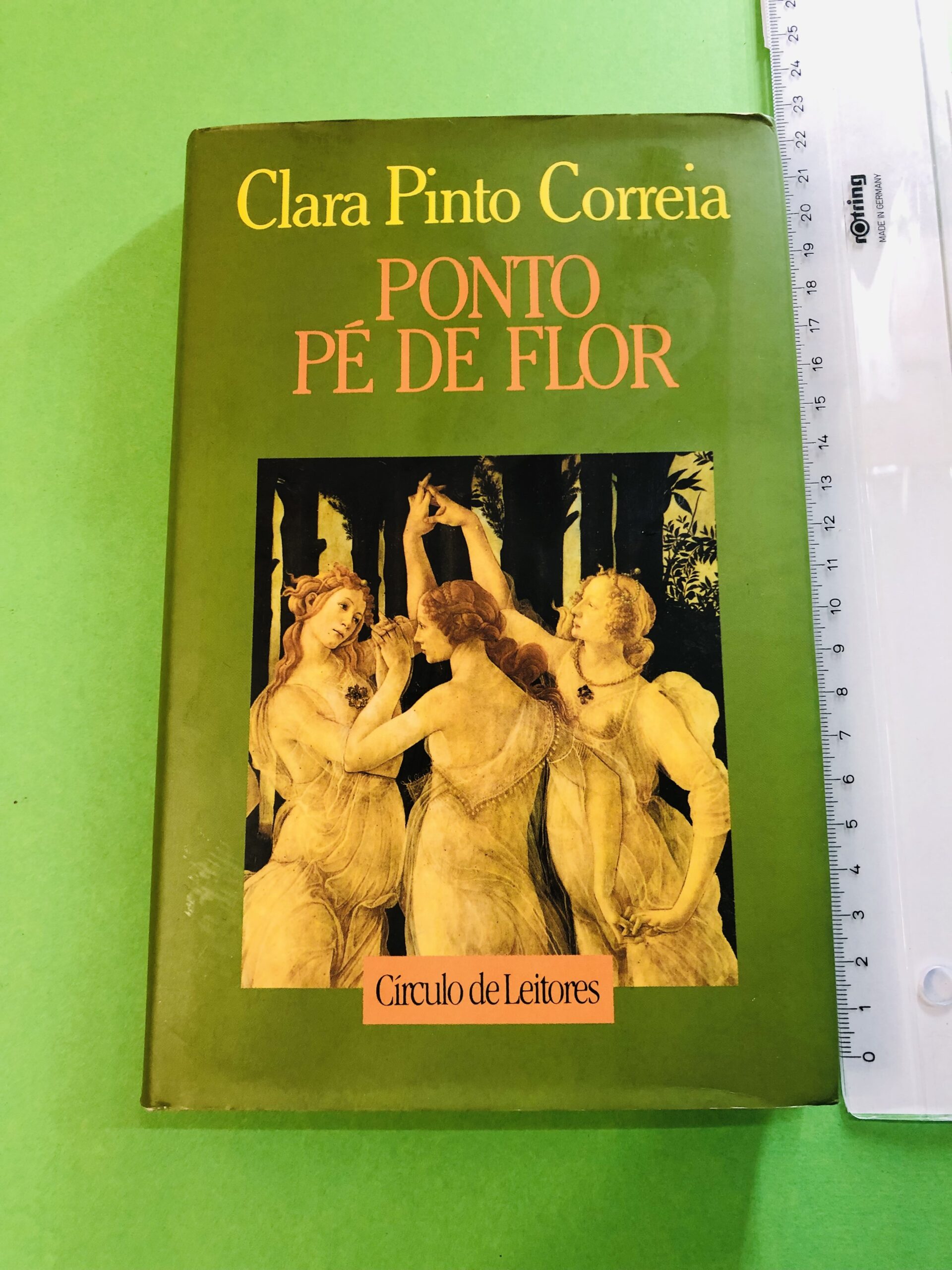 Ponto Pé de Flor - Clara Pinto Correia