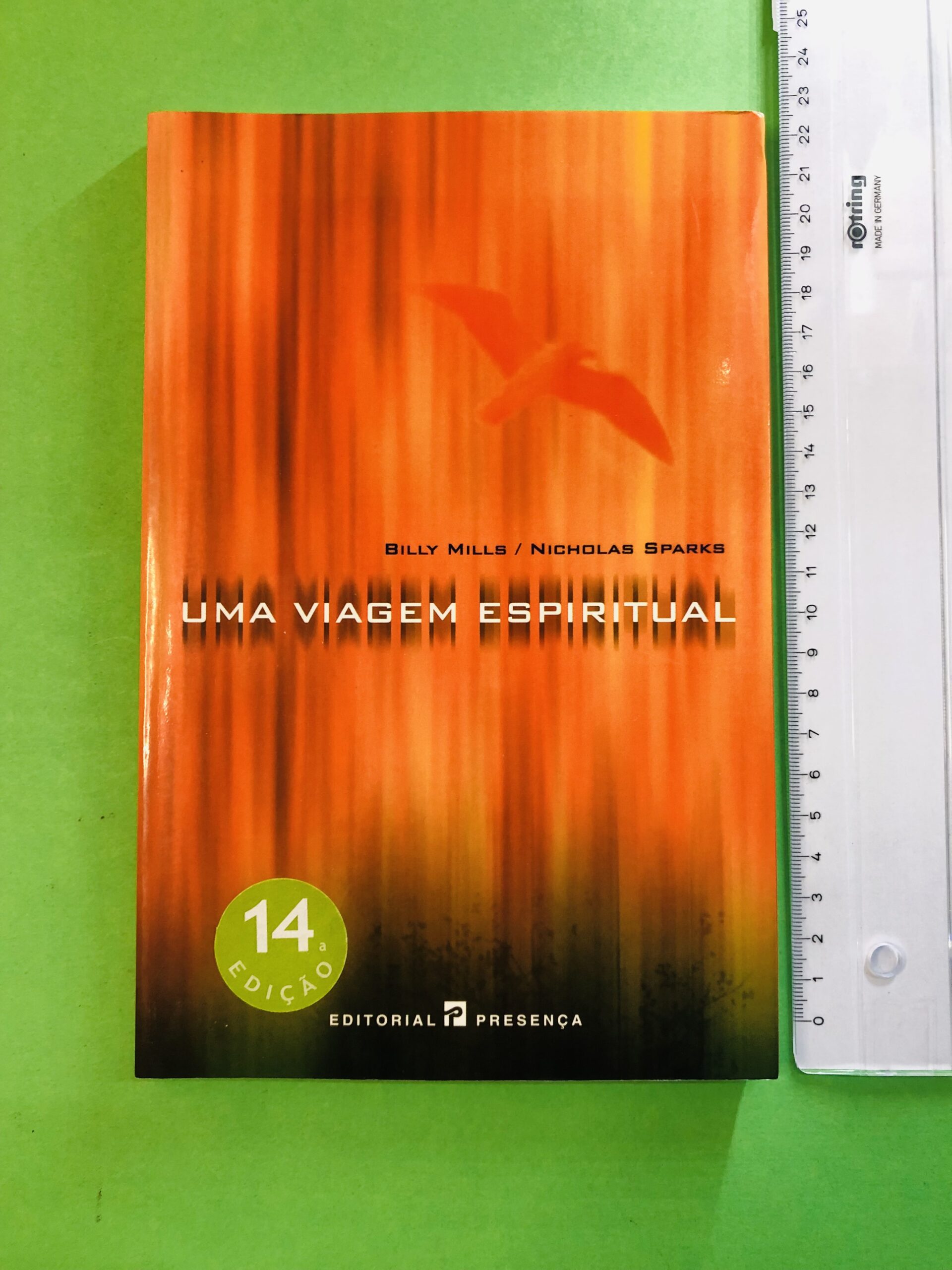 Uma Viagem Espiritual - Billy Mills / Nicholas Sparks