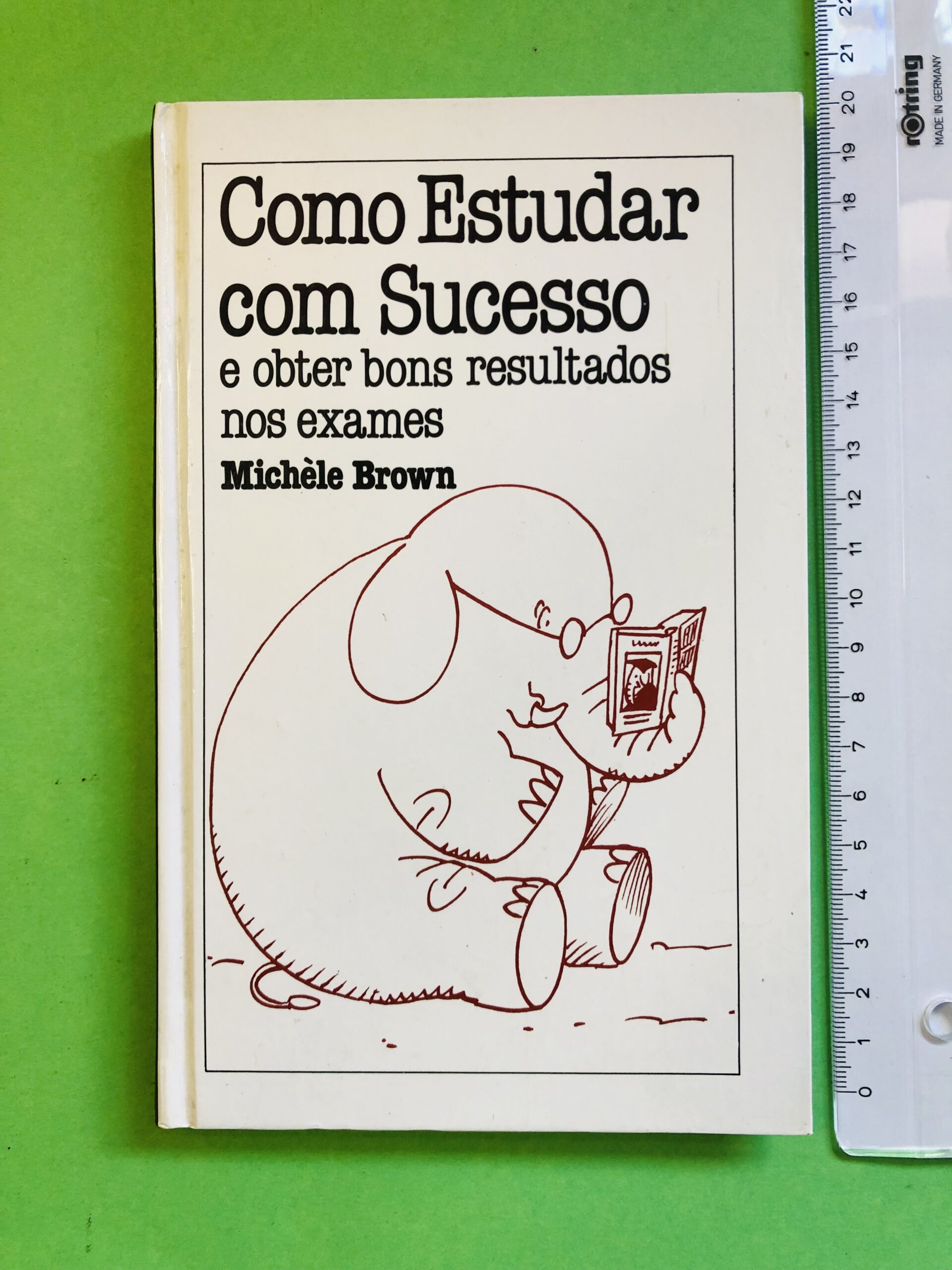Como Estudar com Sucesso e obter bons resultados nos exames - Michèle Brown