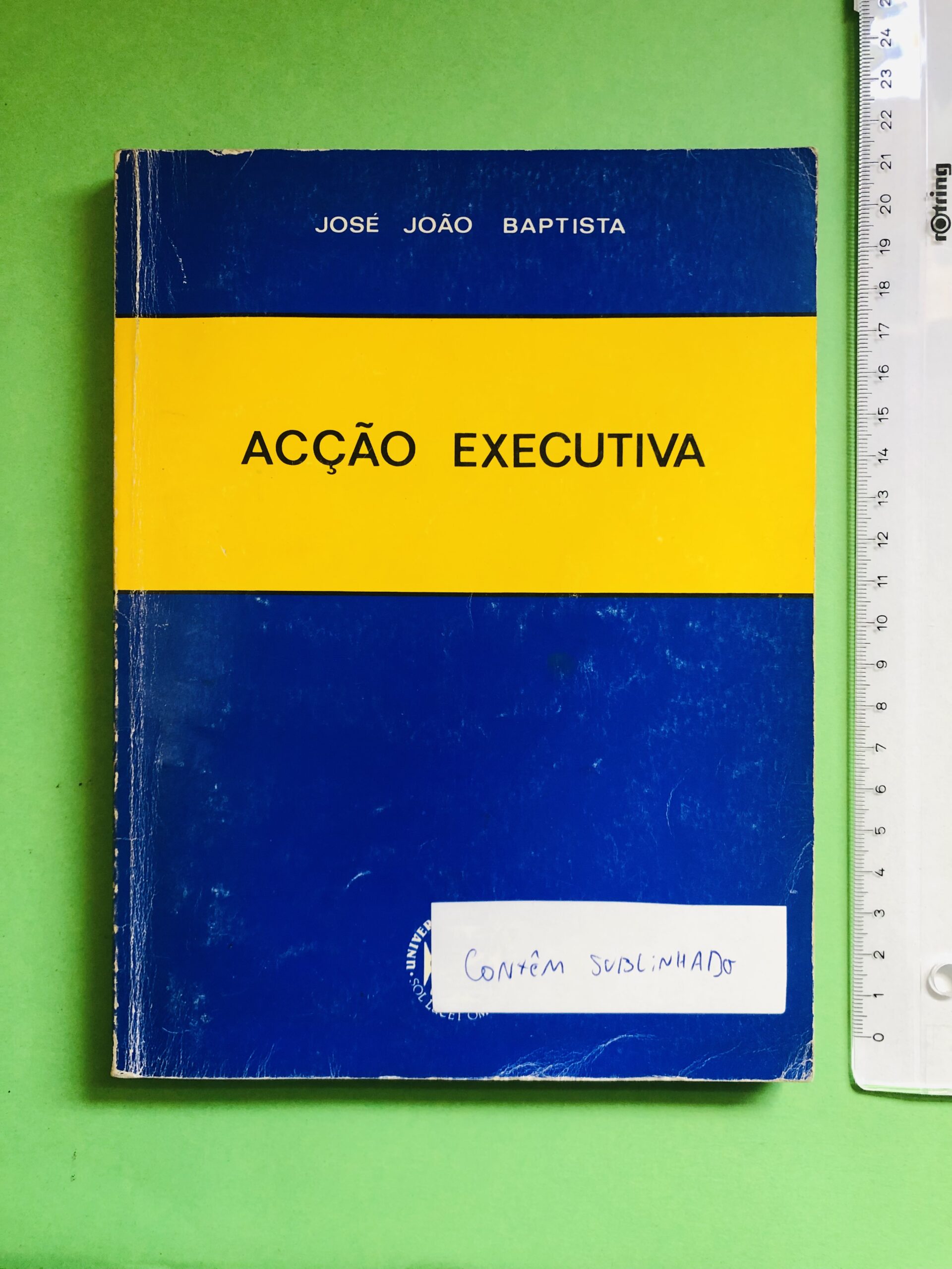 ACÇÃO EXECUTIVA - JOSÉ JOÃO BAPTISTA