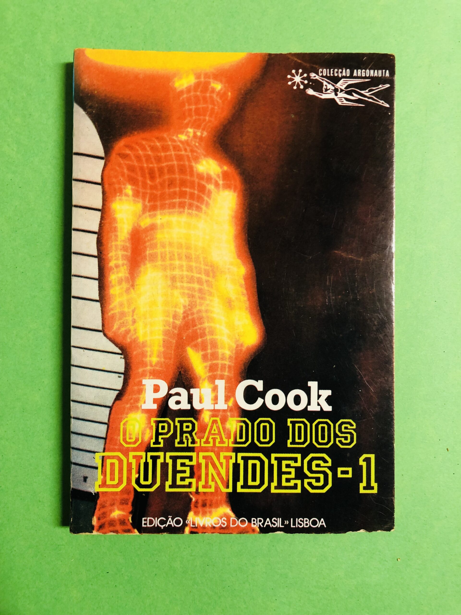 O Prado dos Duendes-1 - Paul Cook