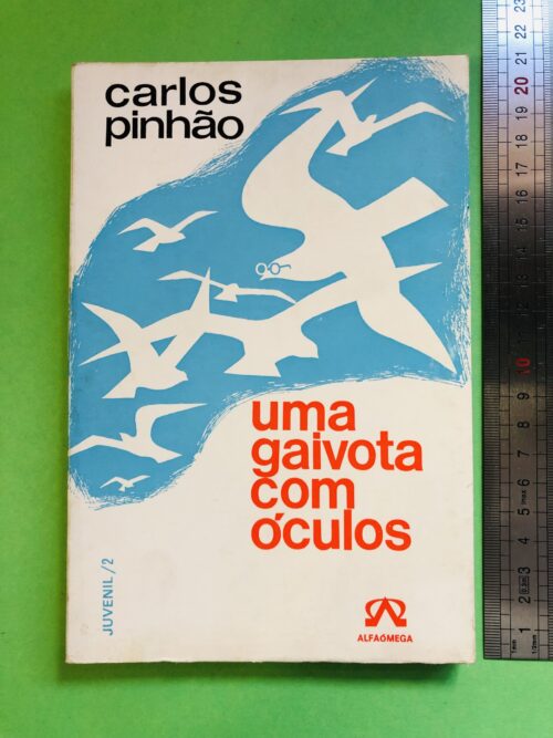 uma gaivota com óculos - carlos pinhão